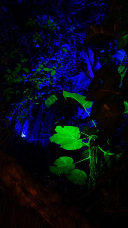 Luna Blue Hotel Playa Del Carmen Kültér fotó