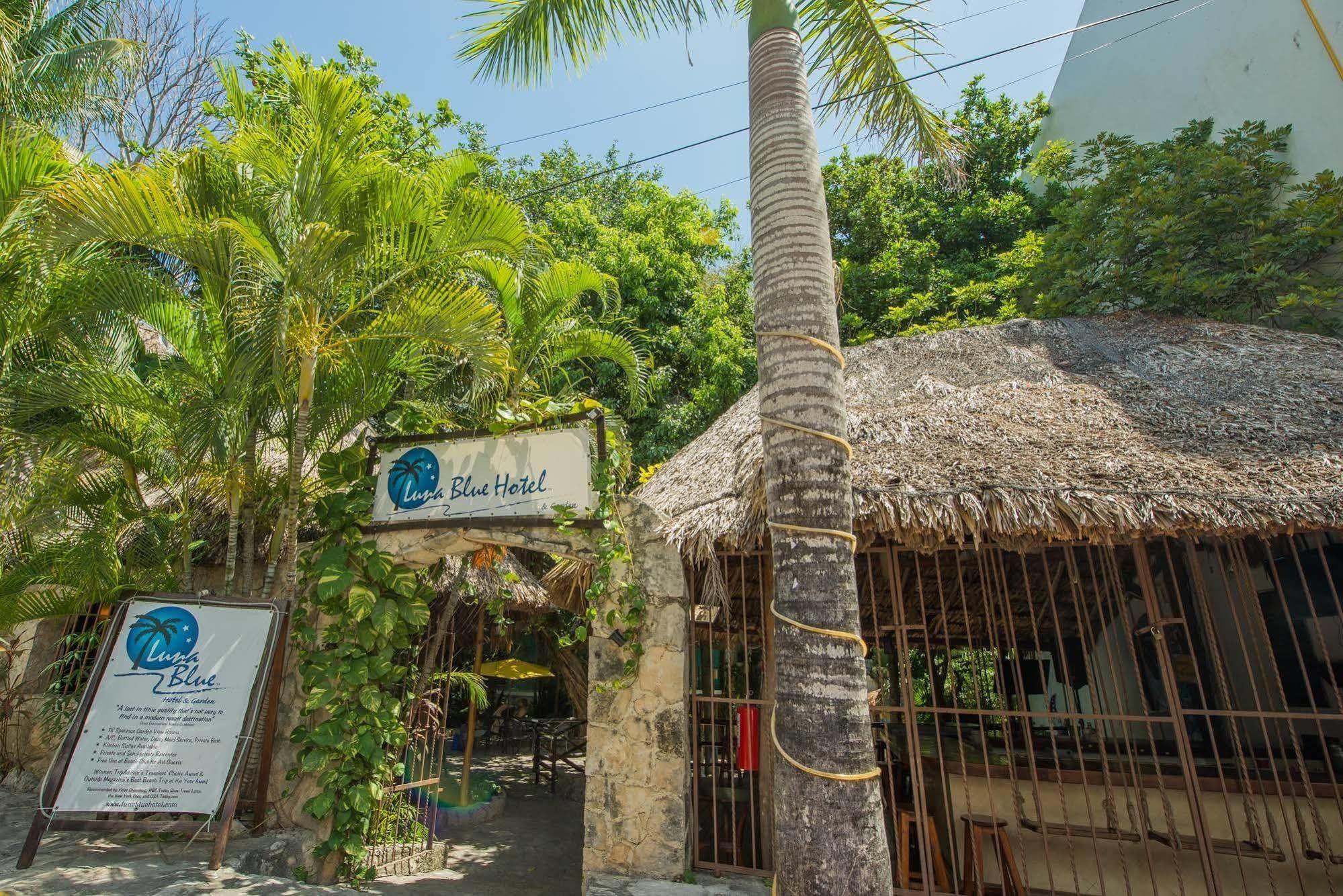Luna Blue Hotel Playa Del Carmen Kültér fotó